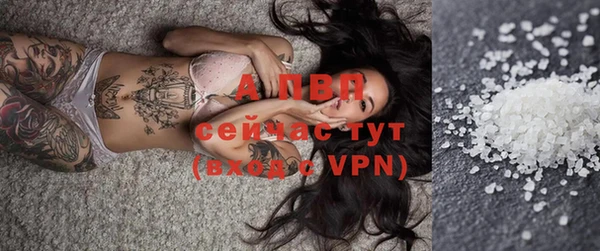 круглые Белокуриха