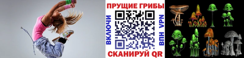 Псилоцибиновые грибы Psilocybe  наркотики  Купино 